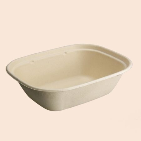 CT1100ml Food cobtainer American style packing box series